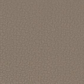 Pattern Canvas Beige/Tan Carpet