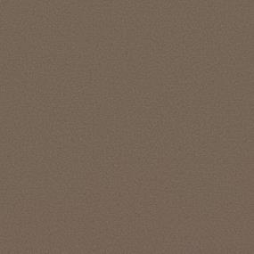 Textured Saxony Chai Beige/Tan Carpet
