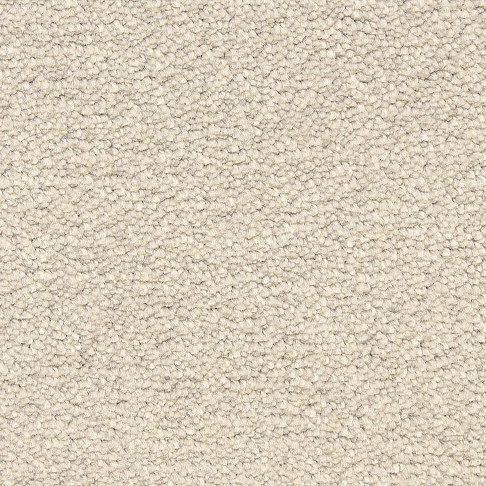 Texture Stone Beige/Tan Carpet
