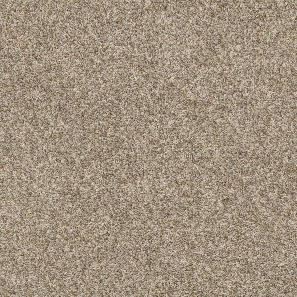 Frieze Coral Blush Beige/Tan Carpet