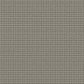 Pattern Graphite Gray Carpet