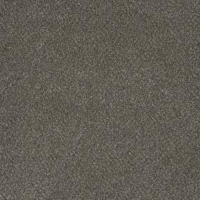 Textured Saxony Best Choice Brown Carpet