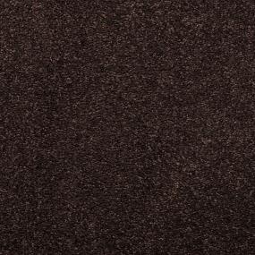 Casual Texture Black Olive Black Carpet