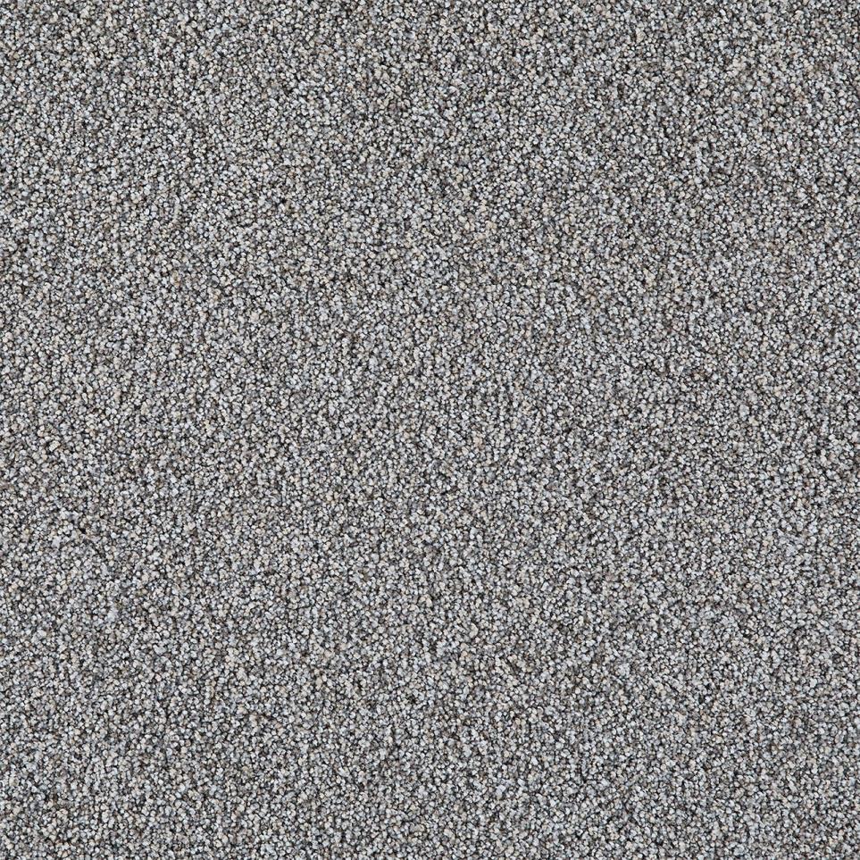 Cut Pile Mellow Gray Carpet