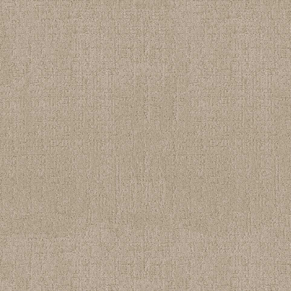 Pattern Toasty Beige/Tan Carpet