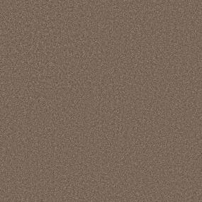 Texture Terracotta Brown Carpet