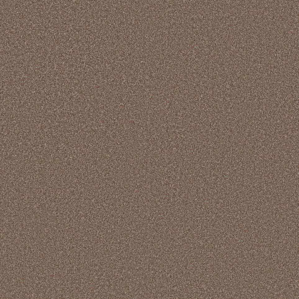 Texture Terracotta Brown Carpet