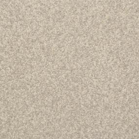 Casual Texture Granite Gray Carpet