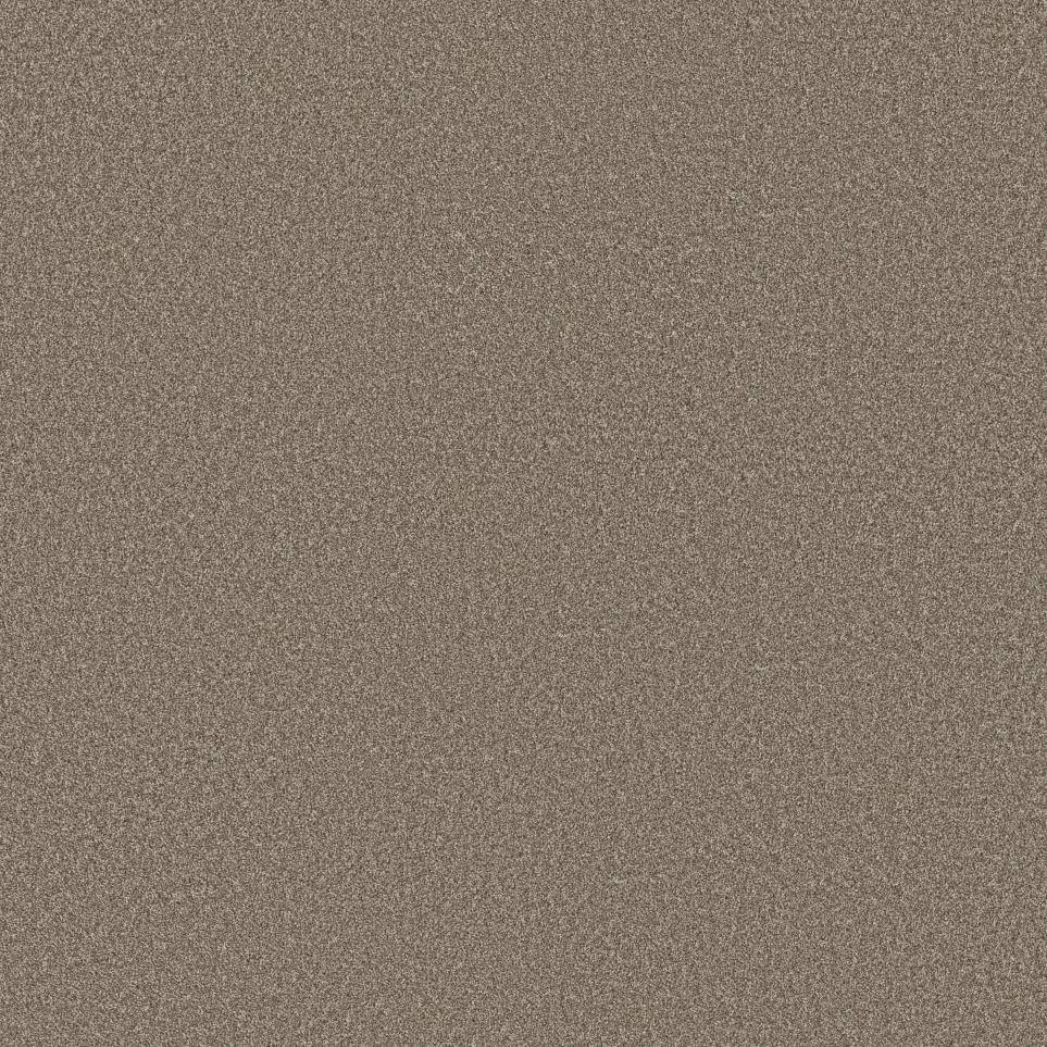 Cut Pile Clay Brown Carpet