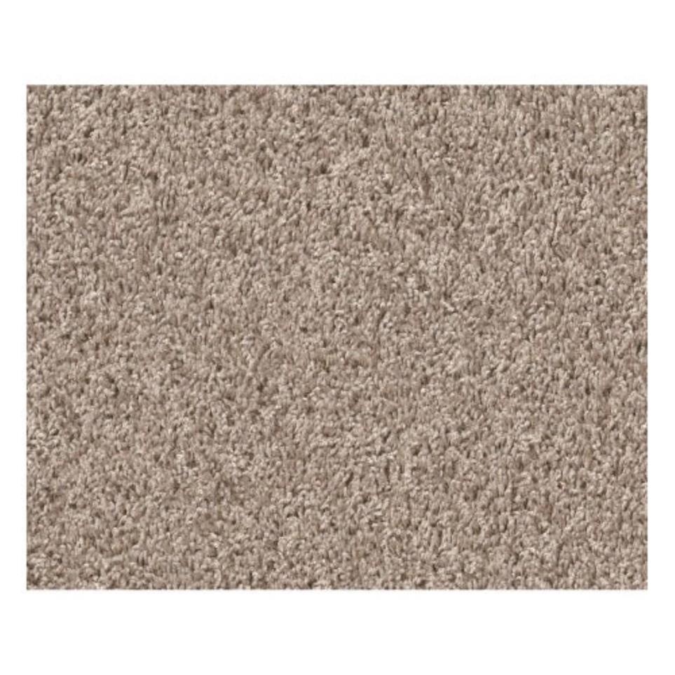 Casual Texture Mountain Morn Beige/Tan Carpet