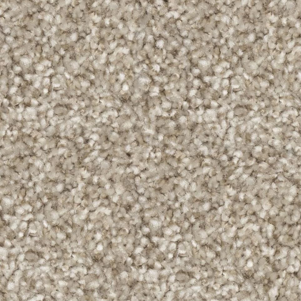 Textured Saxony Leave It Natural Beige/Tan Carpet
