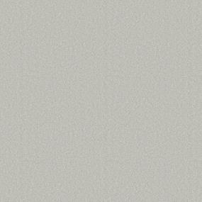 Textured Saxony Seafoam Gray Carpet