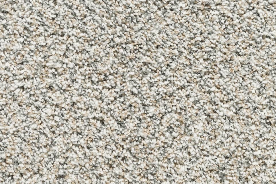 Textured Saxony Celebration Beige/Tan Carpet