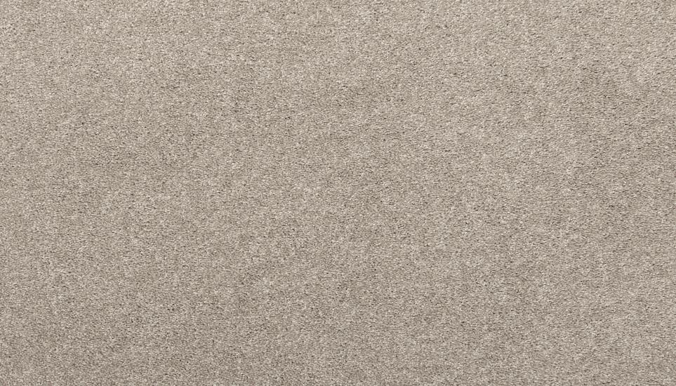 Textured Saxony Ash Gray Carpet