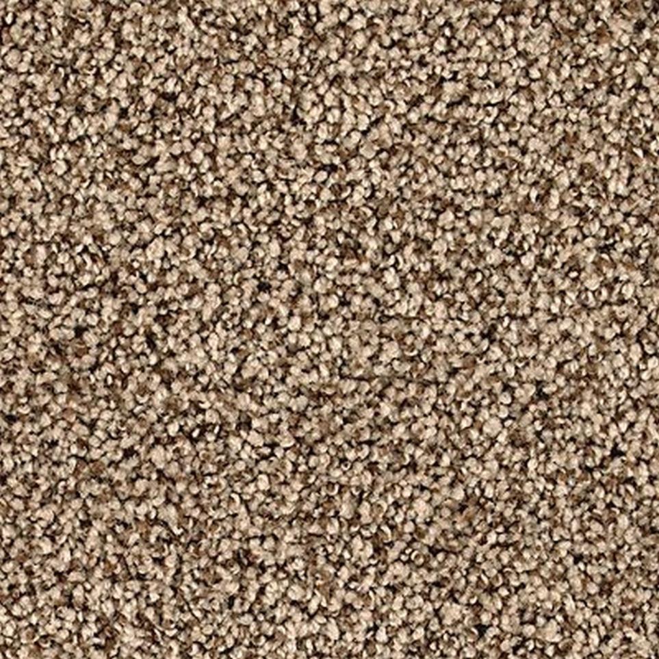 Textured Saxony Tealeaf Brown Carpet