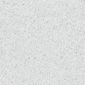 Textured Saxony Ice Crystal Gray Carpet