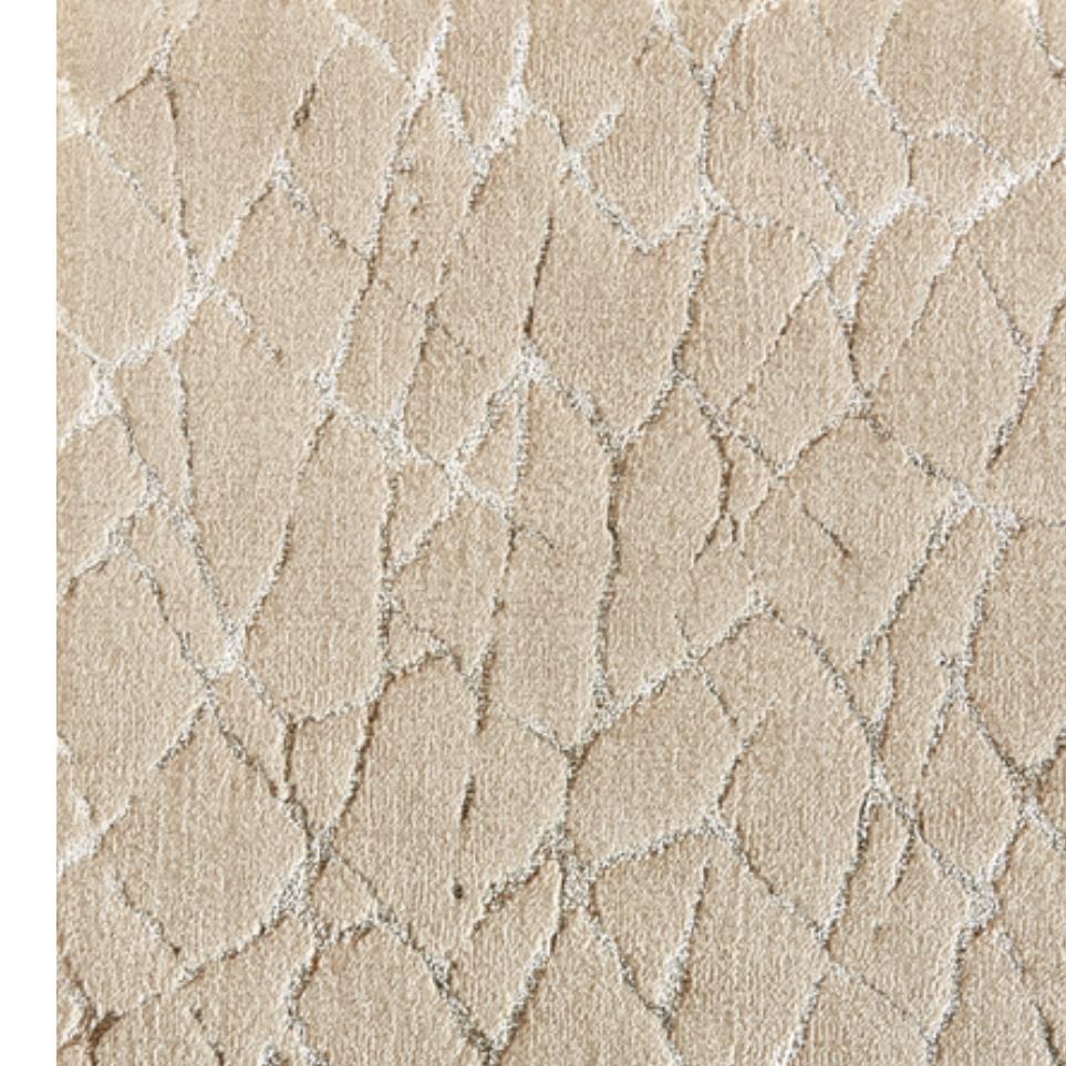 Pattern Beach Beige/Tan Carpet