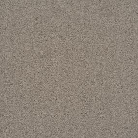 Textured Saxony Oatmeal Raisin Gray Carpet