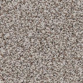 Pattern Moonstone Brown Carpet