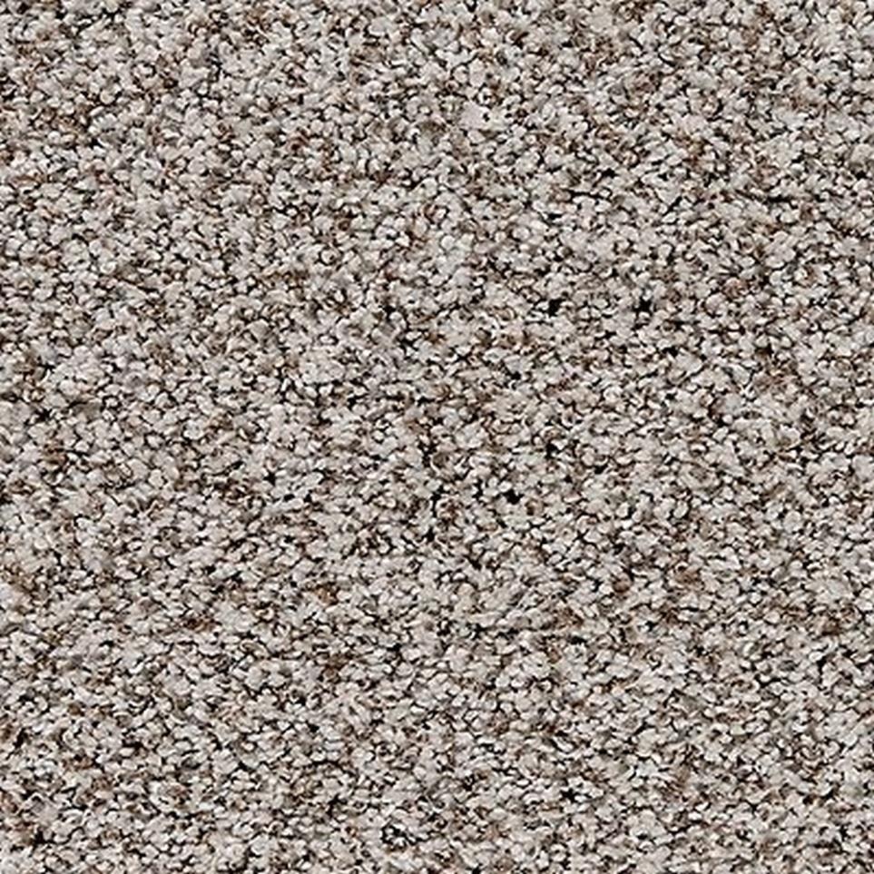 Pattern Moonstone Brown Carpet