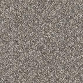 Pattern Fawn Bark Brown Carpet