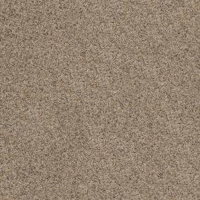 Textured Saxony Basic Tan Beige/Tan Carpet