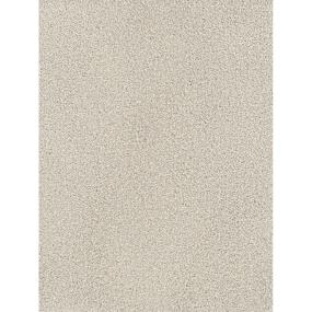Textured Saxony Hampton Place Beige/Tan Carpet