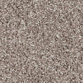 Texture Dusk Gray Carpet