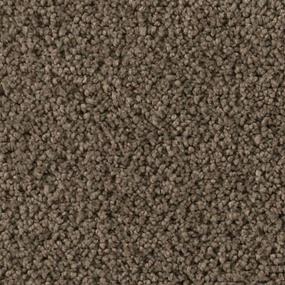 Textured Saxony Aberdeen Beige/Tan Carpet