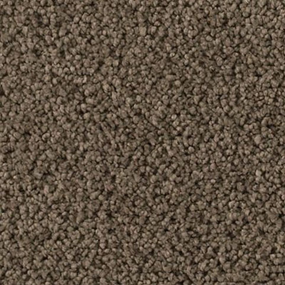 Textured Saxony Aberdeen Beige/Tan Carpet