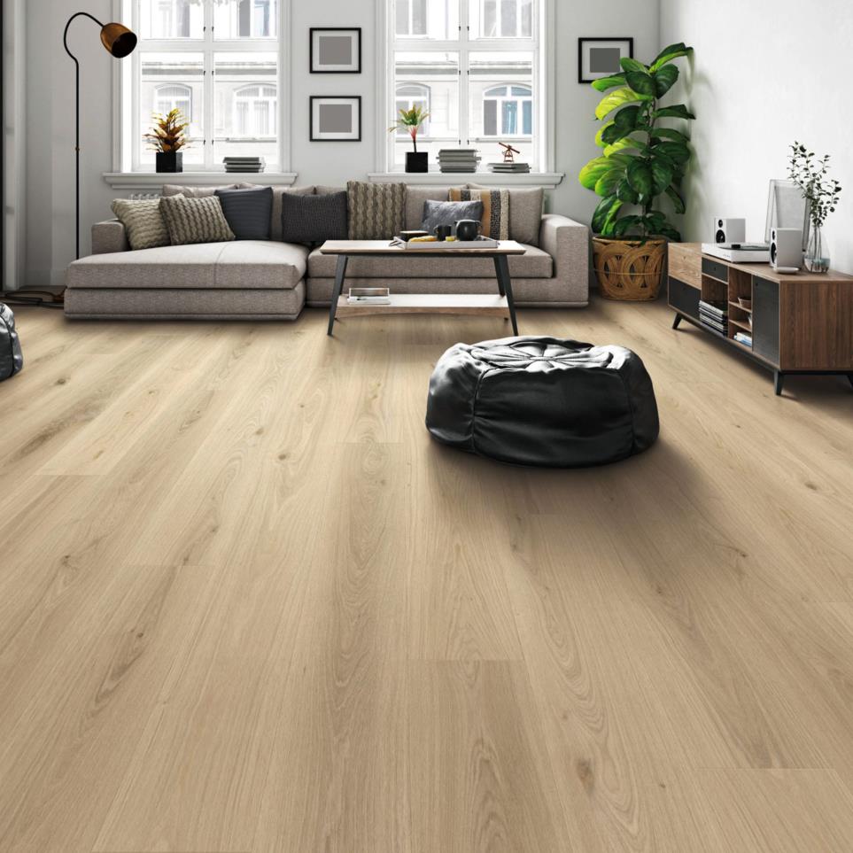 Plank Grandstand Light Finish Laminate