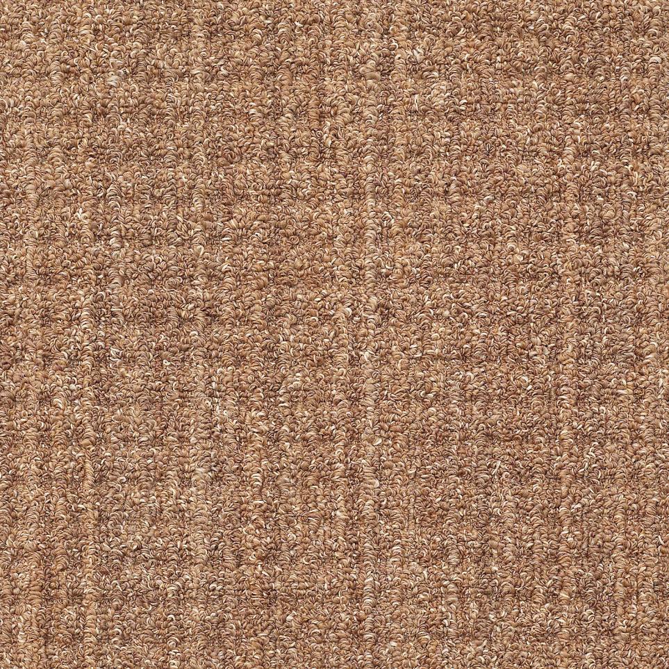 Loop Landmark Brown Carpet