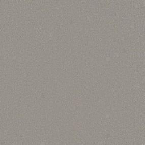 Textured Saxony Elegance Beige/Tan Carpet