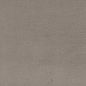 Pattern Serengeti Beige/Tan Carpet