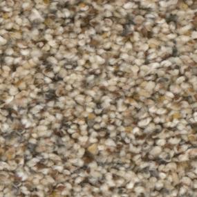 Textured Saxony Granada Beige/Tan Carpet