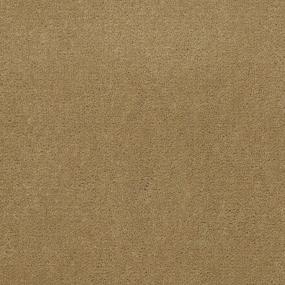 Cut Pile Mummy Beige/Tan Carpet