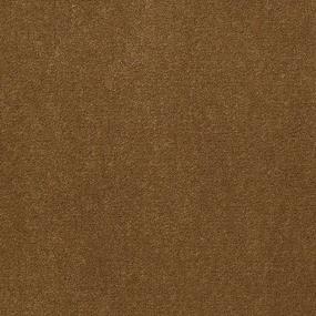 Cut Pile Caramel Brown Carpet