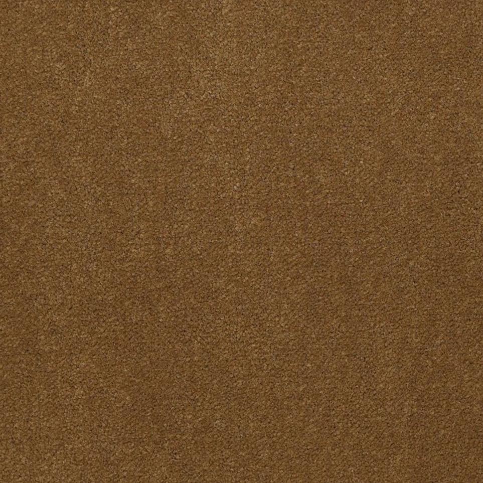 Cut Pile Caramel Brown Carpet