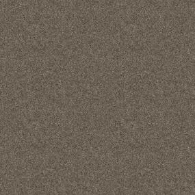 Texture Brownie Batter Brown Carpet