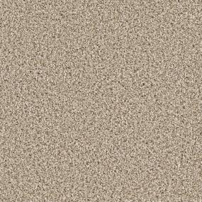 Textured Saxony Pebblerock Beige/Tan Carpet