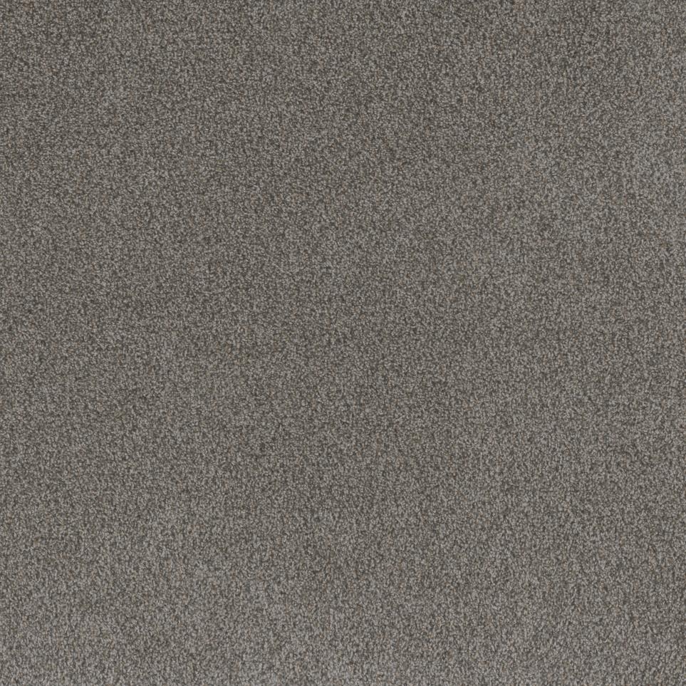 Texture Test Of Time Brown Carpet