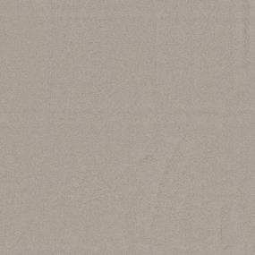 Casual Texture Sand Dollar Beige/Tan Carpet