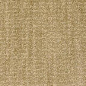 Pattern Harmony Beige/Tan Carpet