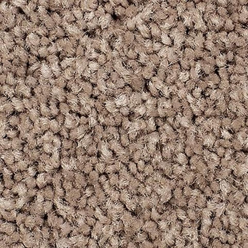 Textured Saxony Gardenia Beige/Tan Carpet