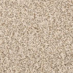 Textured Saxony Blanched Almond Beige/Tan Carpet