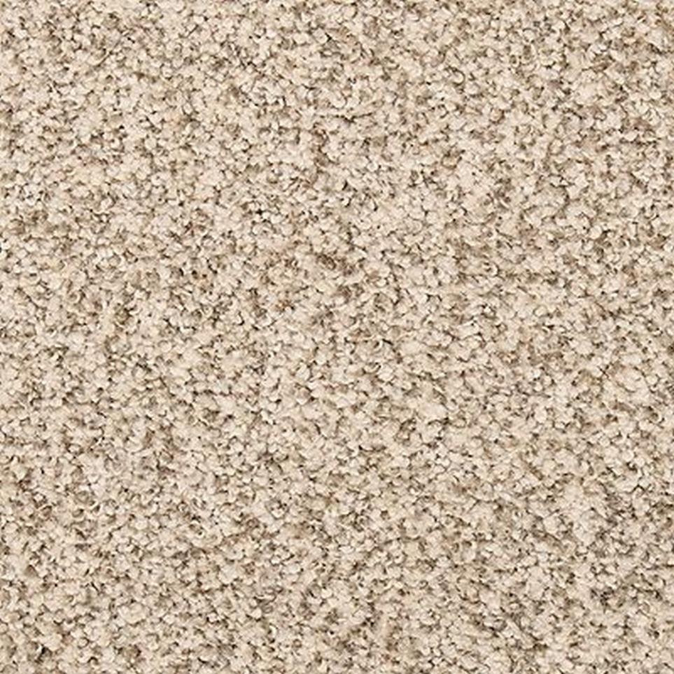 Textured Saxony Blanched Almond Beige/Tan Carpet