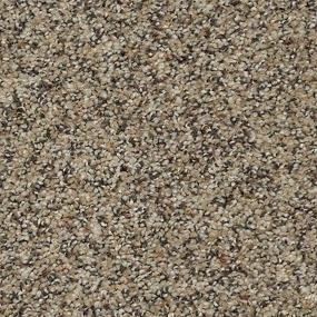 Textured Saxony Sonora Beige/Tan Carpet