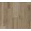 Cartwheel Oak