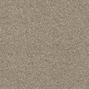 Casual Texture Sandy Cove Beige/Tan Carpet