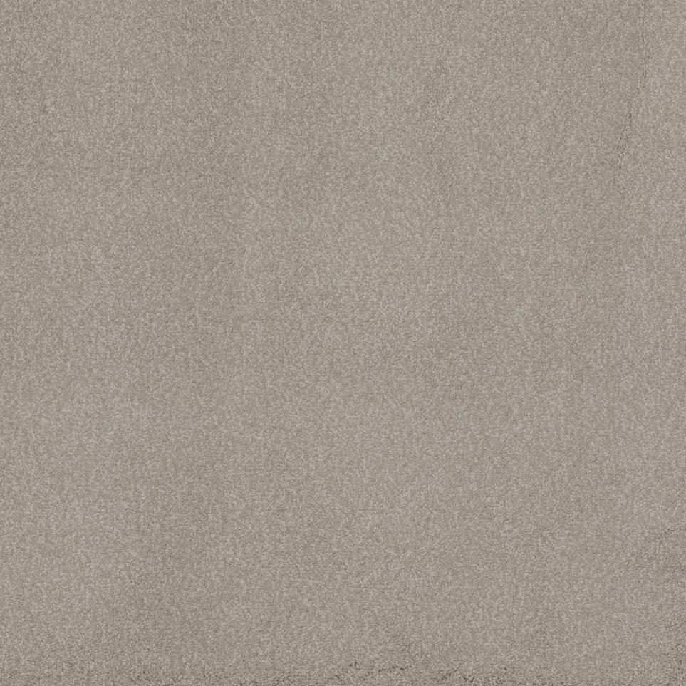 Casual Texture Beach House Beige/Tan Carpet